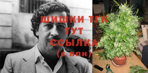 соль ск Алзамай