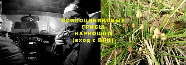 соль ск Алексин