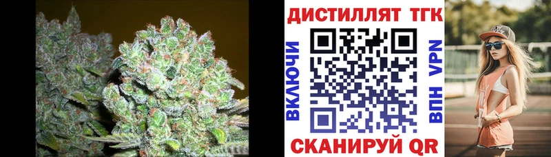 ТГК Wax  МЕГА ссылка  Саки  как найти закладки 