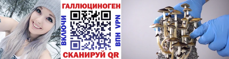 Галлюциногенные грибы мухоморы  Саки 