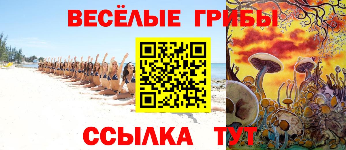 Саки  Псилоцибиновые грибы Psilocybine cubensis  цены наркотик  Галлюциногенные грибы Psilocybe  Вход с VPN 